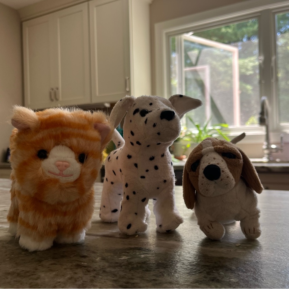 American Girl pet bundle.